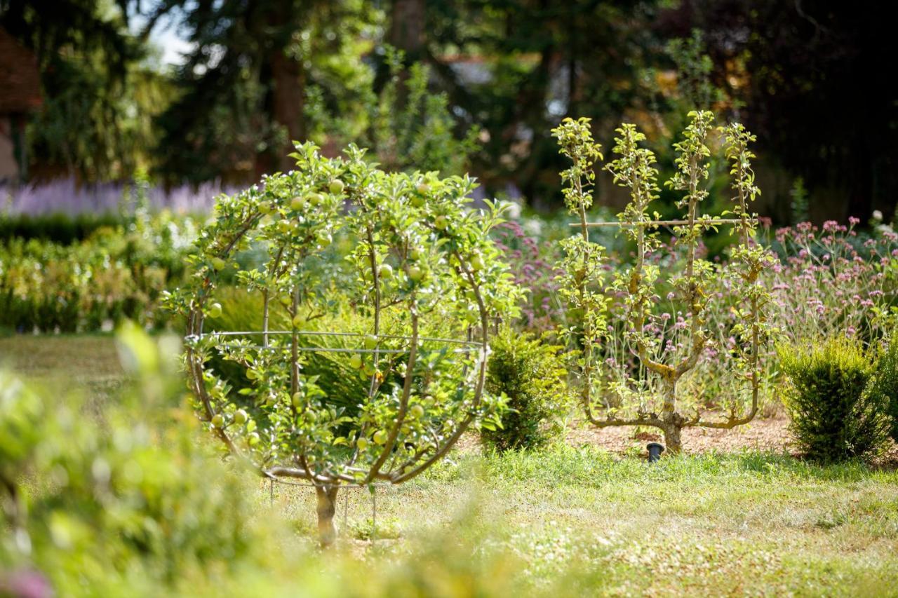 Relais & Chateau Louise De La Valliere Reugny  Eksteriør bilde